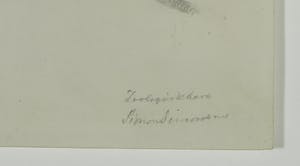 Simon Simonsen - Tekening, Bos indicus / Zeboe, ca. 1875 kopen? Bied vanaf 1!