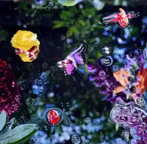 Margriet Smulders - C-Print | 'Zomer 2005' | INGELIJST (In prijs verlaagd) verkauft für € 510!