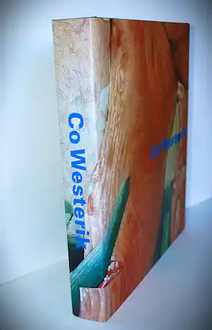 Co Westerik - monumentaal boek (cat. raisonné schilderijen) & extra boek verkocht voor € 50!