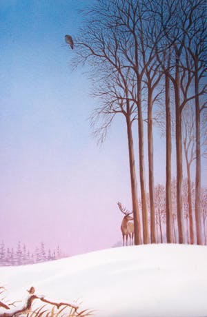 Ari Stolk - Gekleurd landschap #52 kopen? Bied vanaf 35!