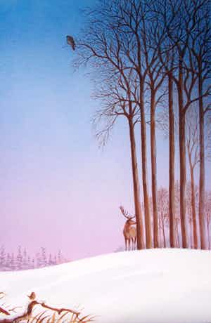 Ari Stolk - Gekleurd landschap #52 verkocht voor € 35!