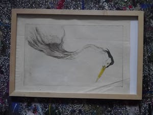 Frederika Broeksmit - ets-vogel kopen? Bied vanaf 10!