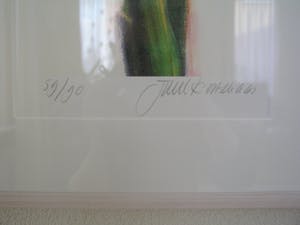 Juul Kortekaas - Amaryllis kopen? Bied vanaf 150!