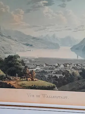 Franz Hegi - lot van 5 ingelijste gravures kopen? Bied vanaf 175!