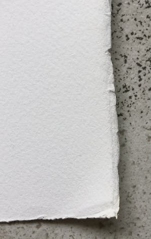 Herman Brood - Torso - Originele Handgesigneerde Zeefdruk kopen? Bied vanaf 1!