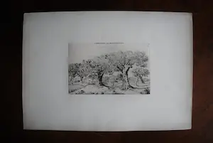 Louis Charles Hora Siccama - Campagne de Montpellier - ets kopen? Bied vanaf 45!