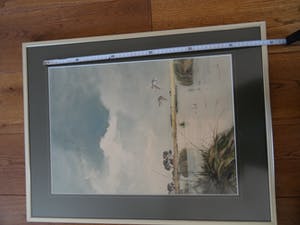 Jo Schrijnder - Biesbos kopen? Bied vanaf 400!