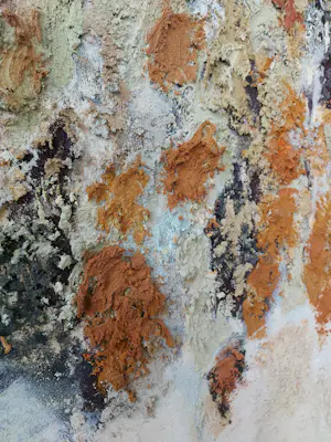 Gerard Strik - Zonder Titei (Groot!) kopen? Bied vanaf 1000!