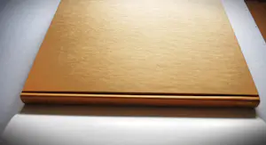Salvador Dali - 2 hardcovers, waarvan 1 met een kleurenlitho (31x44 cm) kopen? Bied vanaf 150!