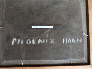 Henk Poeder - Phoenix cock kopen? Bied vanaf 35!