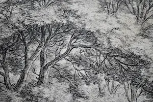 Anthonie Waterloo - Bospad met hekwerk - 17e eeuwse ets kopen? Bied vanaf 150!