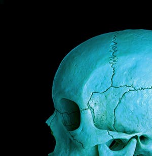 Mr. Strange - Death in Blue kopen? Bied vanaf 60!