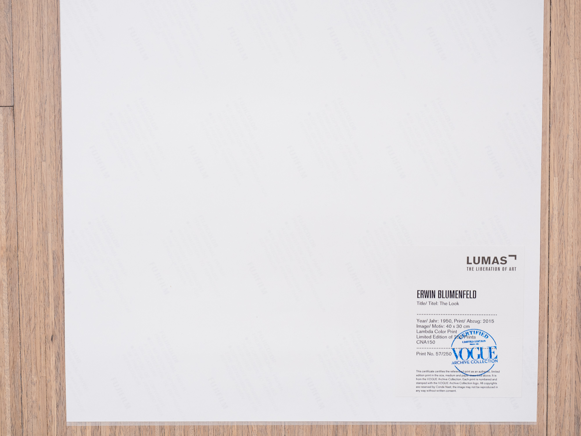Erwin Blumenfeld - The Look (beperkte oplage, gestempeld) kopen? Bied vanaf 1000!
