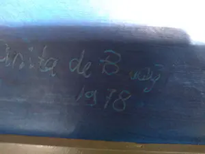 Anita de Baaij - geen titel kopen? Bied vanaf 50!