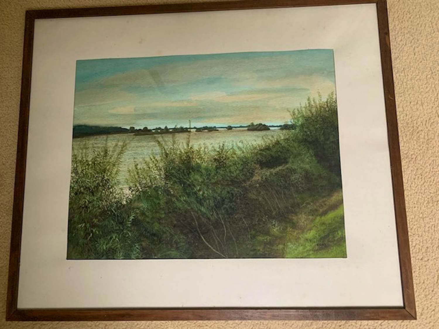 Simon Sint - Plassenlandschap kopen? Bied vanaf 75!