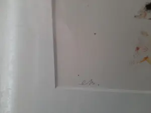 John Lie a Fo - Zeefdruk, Titel, Apari leoni des drien. kopen? Bied vanaf 40!