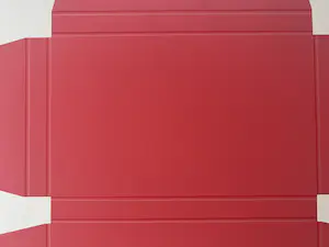 Lode Pemmelaar - litho | 'Uitslag doos' kopen? Bied vanaf 1!