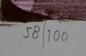 Nicolaas Wijnberg - Litho - 1988 kopen? Bied vanaf 75!