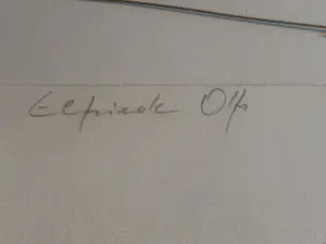 Elfriede Otto - Auf Safari kopen? Bied vanaf 399!