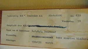 Robin Deirkauf - Twee soorten bladeren kopen? Bied vanaf 75!