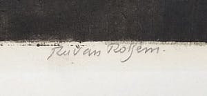 Ru van Rossem - De witte paarden (camarque) kopen? Bied vanaf 125!