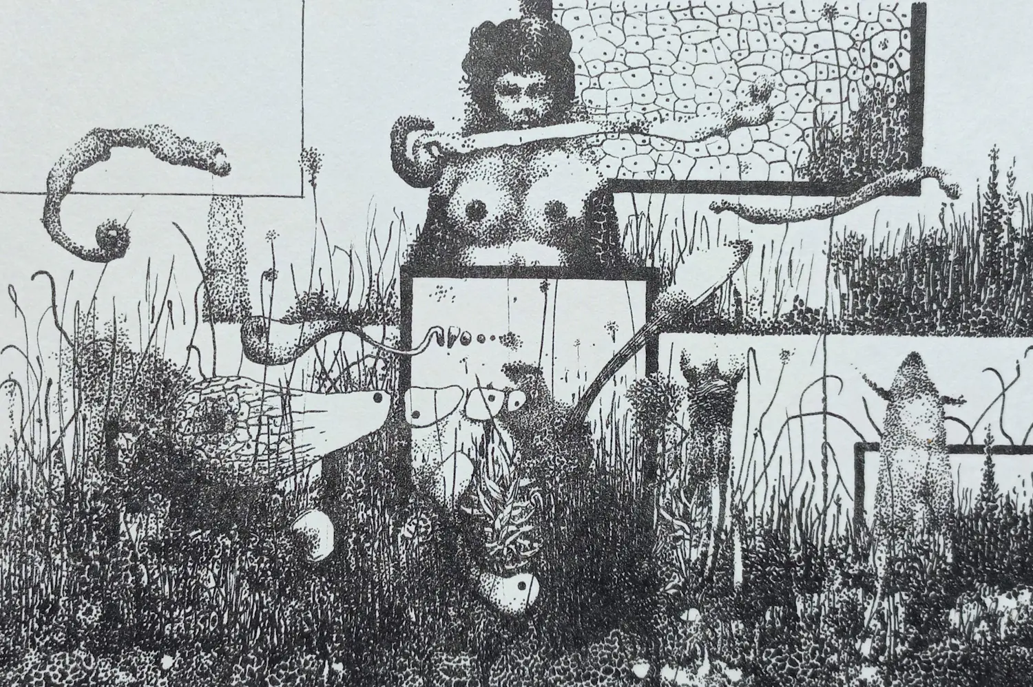 Wout Muller (1946-2000)