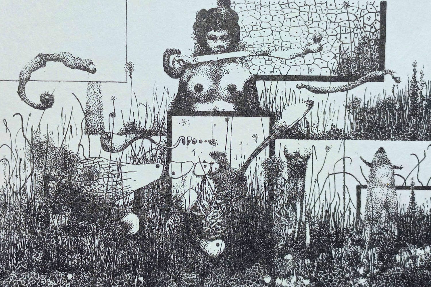 Wout Muller - De eigenaardigheden van tamme rassen I, litho kopen? Bied vanaf 50!