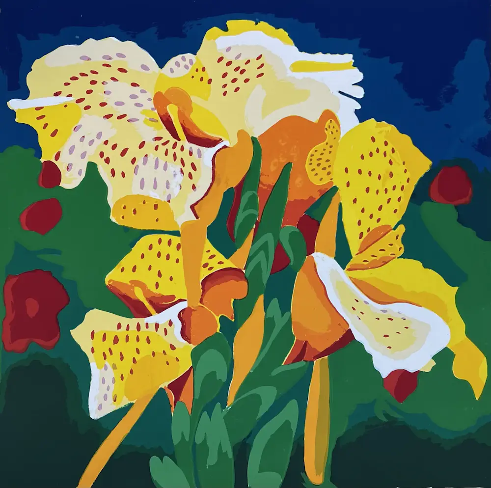 Henk van der Plas (1936-2009)