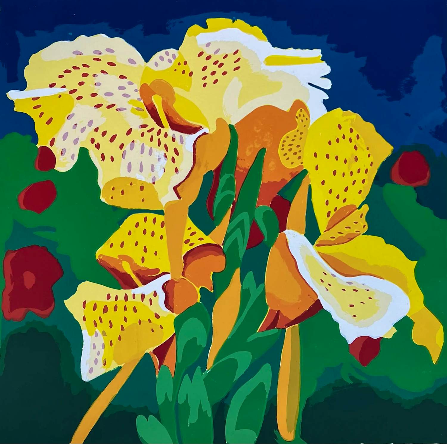 Henk van der Plas - Mooie , kleurrijke gesigneerde zeefdruk - 2001 - 40/50 kopen? Bied vanaf 65!