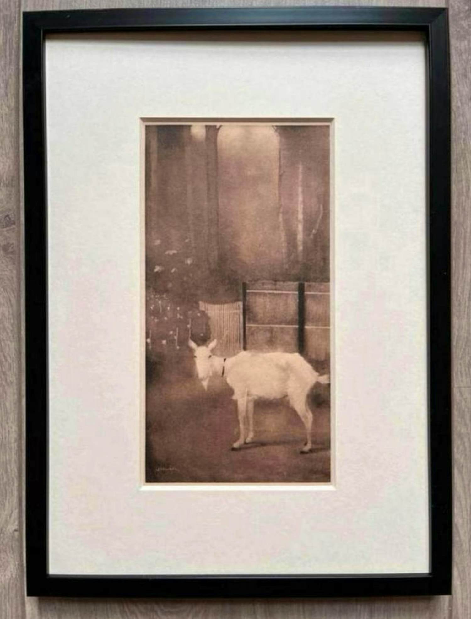 Jan Mankes - Originele Heliogravure Oude Geit 1923 kopen? Bied vanaf 165!