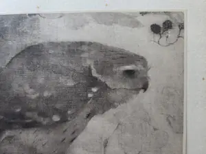 Jan Mankes - Roofvogel op tak. kopen? Bied vanaf 49!