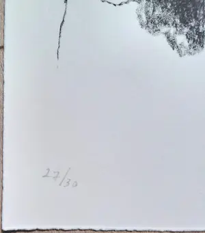 Armando - Das Blatt, litho kaufen? Bieten Sie von 100!