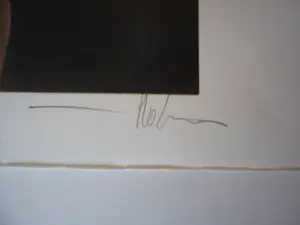 Bernard-Stephan Moldawan - Litho, Titel. Electric Feather kopen? Bied vanaf 45!