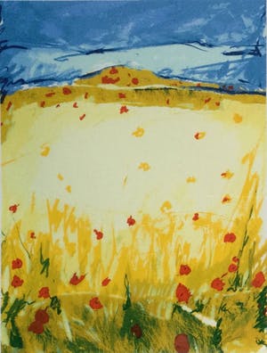 Annemiki Bok - Voorjaar & Zomer | set van 2 kleuren zeefdrukken - ingelijst kopen? Bied vanaf 69!