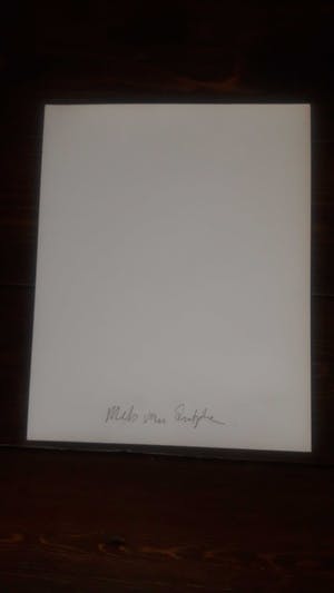 Mels van Zutphen - Zonder titel kopen? Bied vanaf 1!