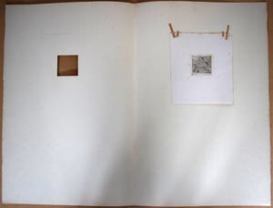 Enno Brokke - Veulen in de wei kopen? Bied vanaf 50!