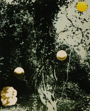 Ruud Aarbodem - Fotomontage, Zonnen kopen? Bied vanaf 1!