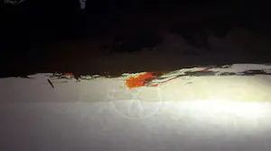 Karel Appel - Christian Dotremont - Duo Pour Pinceau et Crayon - De Neige kopen? Bied vanaf 10!