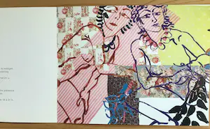 Walasse Ting - Adami - Klossowski - Reinhoud - Brands - Roobjee - Vanriet e.a. kopen? Bied vanaf 1!