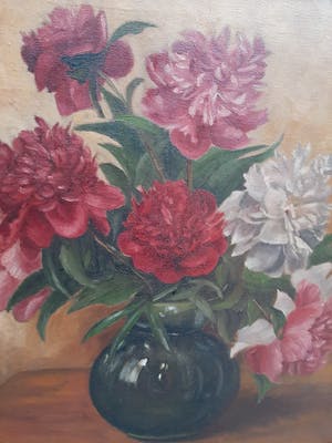 Lien Straver - Pioenrozen kopen? Bied vanaf 50!