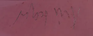 Arien Seger - Gemengde techniek op papier, Duinrug - Ingelijst kopen? Bied vanaf 1!