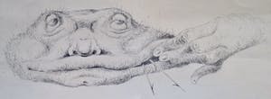 Melle Oldeboerrigter - Litho kopen? Bied vanaf 30!