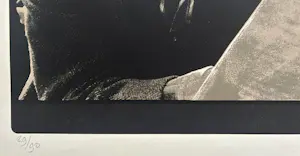 Henk van der Vet - Karel Appel en Christian Dotremont kopen? Bied vanaf 45!