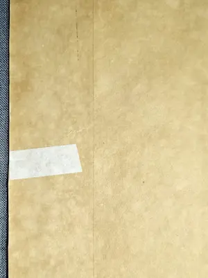 Jan Sirks - 41/125 Aelbrechtskolk Rotterdam 183-JS kopen? Bied vanaf 35!