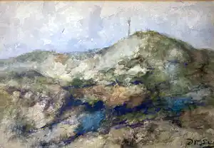 Willem Johannes Schutz - Duinen verkocht voor € 65!