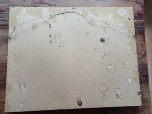 Jan Coenraad Nachenius - Kust landschap kopen? Bied vanaf 20!