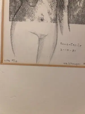 Ami Bernard Zillweger - Anne-Cecile kopen? Bied vanaf 35!