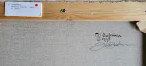 Jeroen Buitenman - Dollardress kopen? Bied vanaf 450!