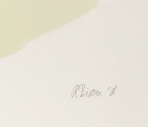 Rob Birza - Litho, Zonder titel - Ingelijst (Groot) kopen? Bied vanaf 40!