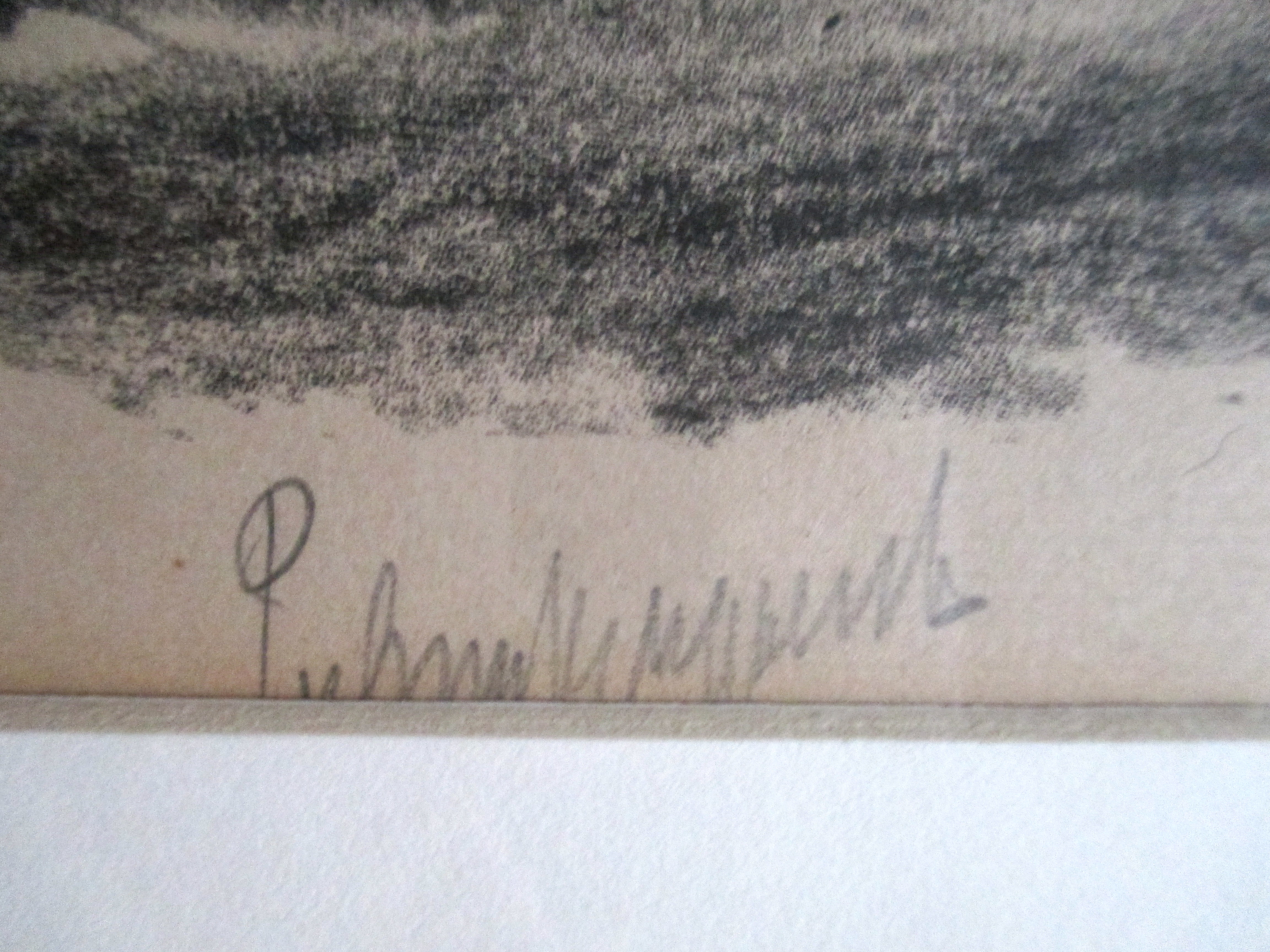 Piet van Wijngaerdt - Ingelijste Litho "Haarlemmerhout" kopen? Bied vanaf 45!